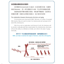 將圖片載入圖庫檢視器 賦活寶加強版 Acti NMN Plus ACTI NMN Plus