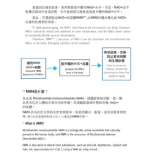 將圖片載入圖庫檢視器 賦活寶加強版 Acti NMN Plus ACTI NMN Plus